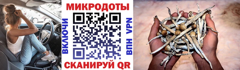 Галлюциногенные грибы Psilocybine cubensis  Купить закладки  Куровское 